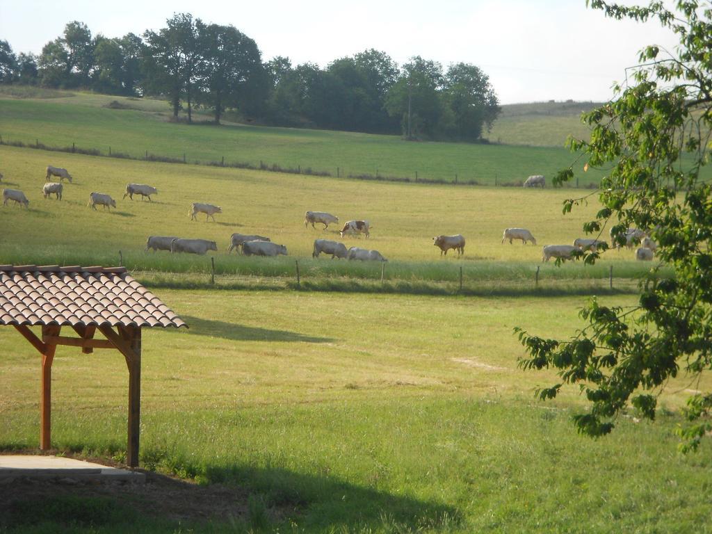 Bed and Breakfast La Prade Basse 82 Saint-Antonin Zimmer foto
