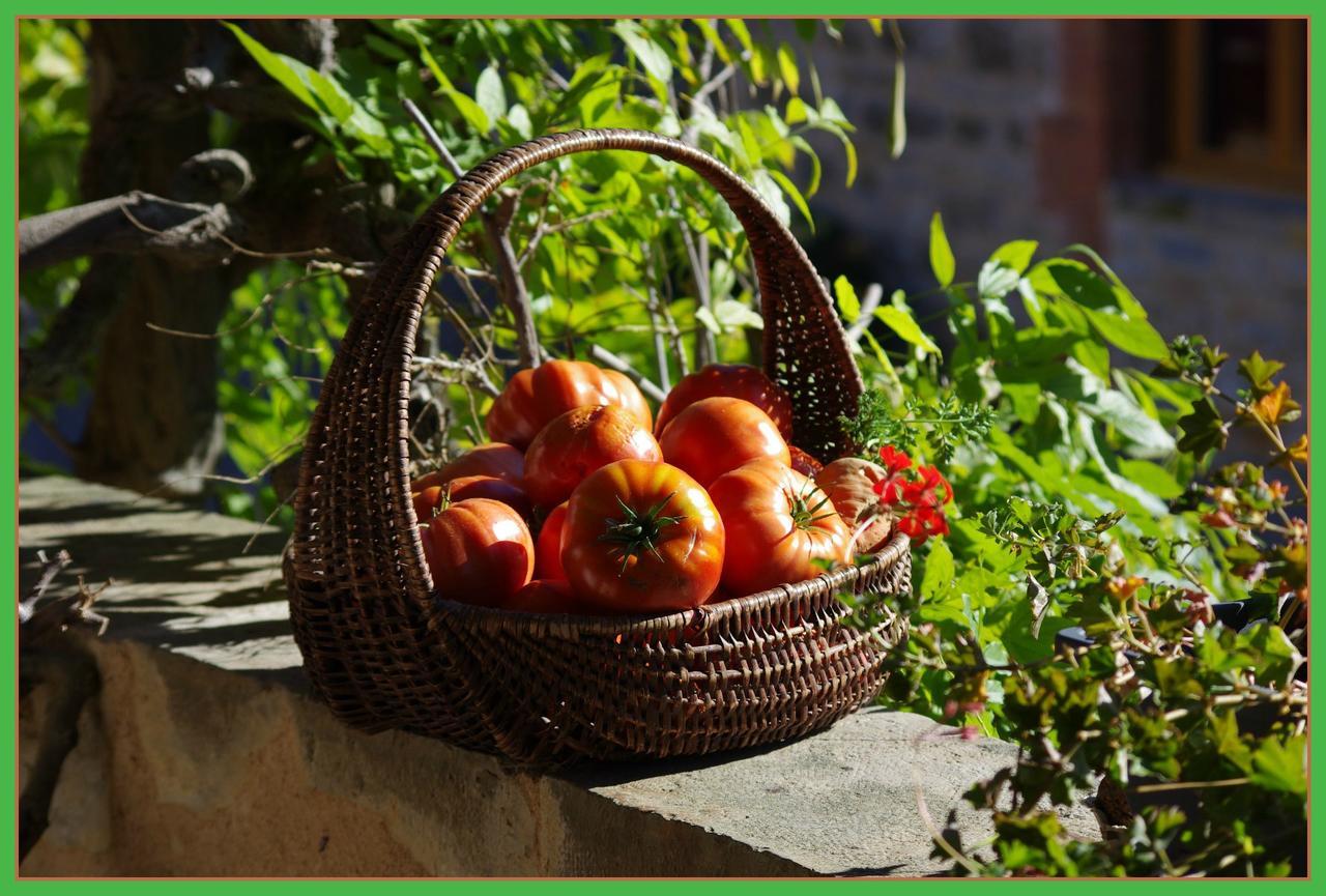 Bed and Breakfast La Prade Basse 82 Saint-Antonin Exterior foto